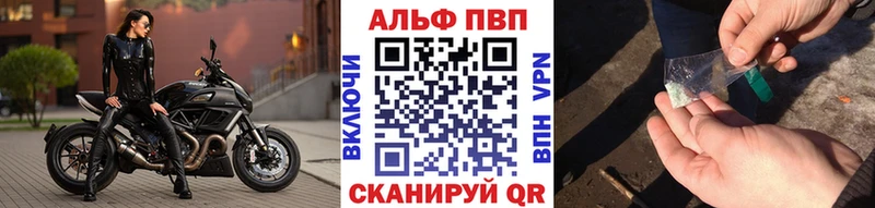 Альфа ПВП СК КРИС  Правдинск 