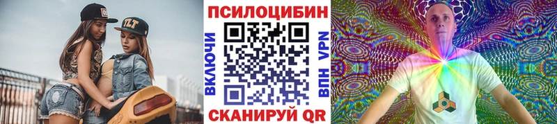 Псилоцибиновые грибы мухоморы  blacksprut вход  Правдинск  хочу  